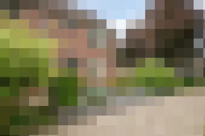 Dreef 200 Leersum thumbnail 46