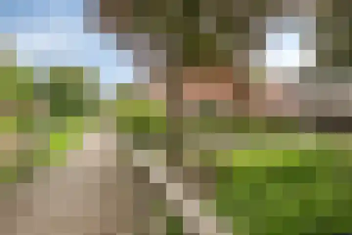 Dreef 200 Leersum thumbnail 47