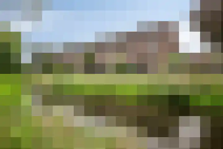 Dreef 200 Leersum thumbnail 48