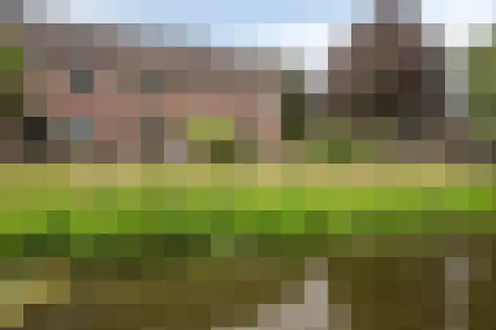 Dreef 200 Leersum thumbnail 49