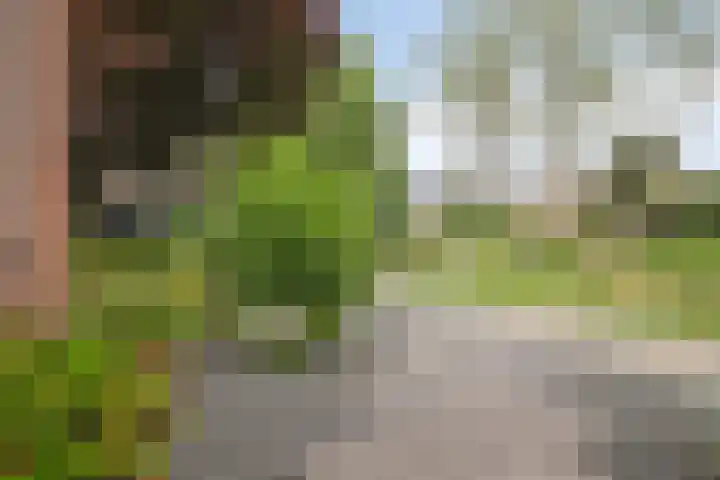 Dreef 200 Leersum thumbnail 50
