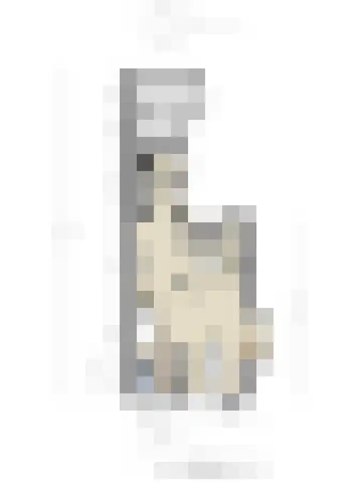 Dreef 200 Leersum thumbnail 51