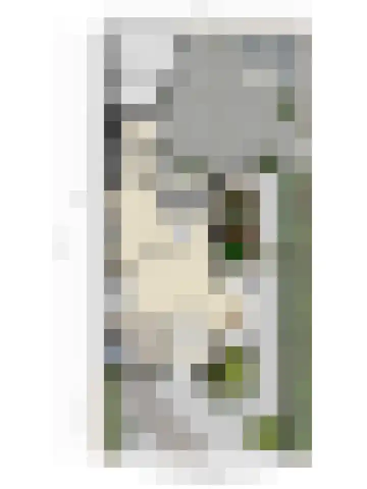 Dreef 200 Leersum thumbnail 54