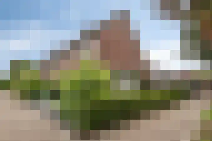 Dreef 200 Leersum thumbnail 7