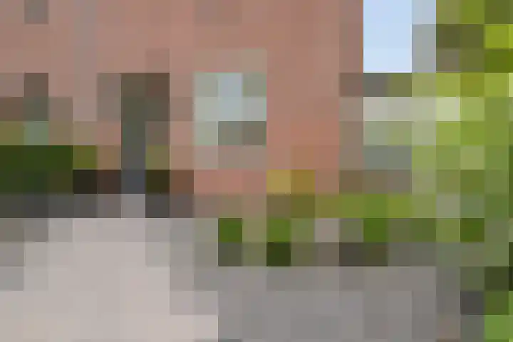 Dreef 200 Leersum thumbnail 8