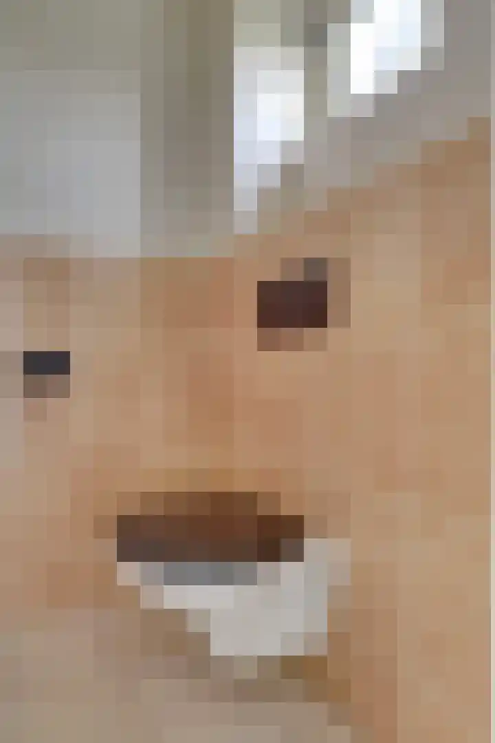 Dreef 202 Leersum thumbnail 10