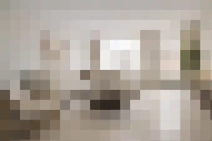 Dreef 202 Leersum thumbnail 13