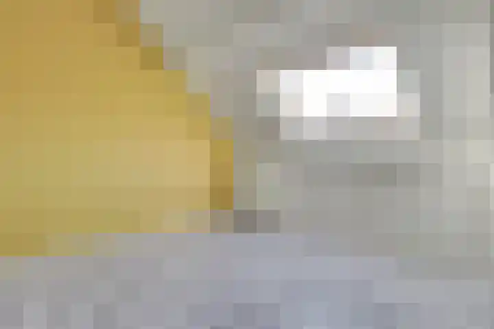 Dreef 202 Leersum thumbnail 33