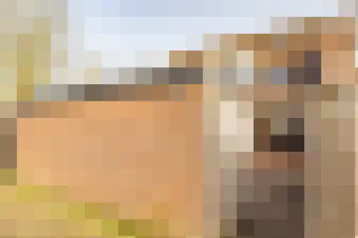 Dreef 202 Leersum thumbnail 40