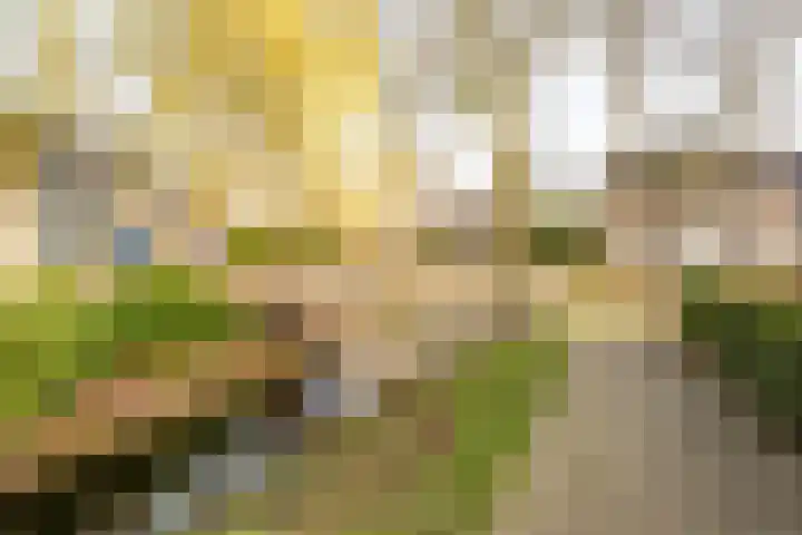 Dreef 202 Leersum thumbnail 41