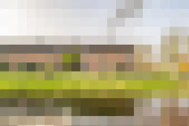 Dreef 202 Leersum thumbnail 43
