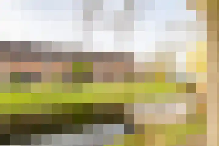Dreef 202 Leersum thumbnail 5
