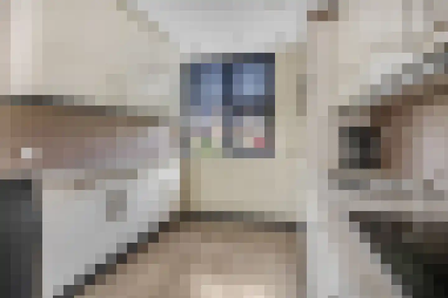 Dreef 206 Leersum thumbnail 12