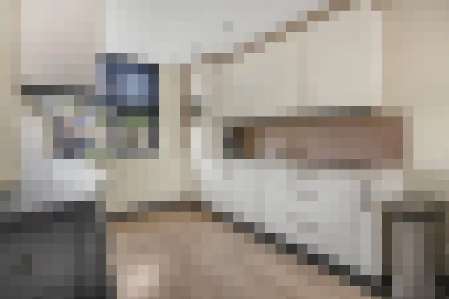 Dreef 206 Leersum thumbnail 13
