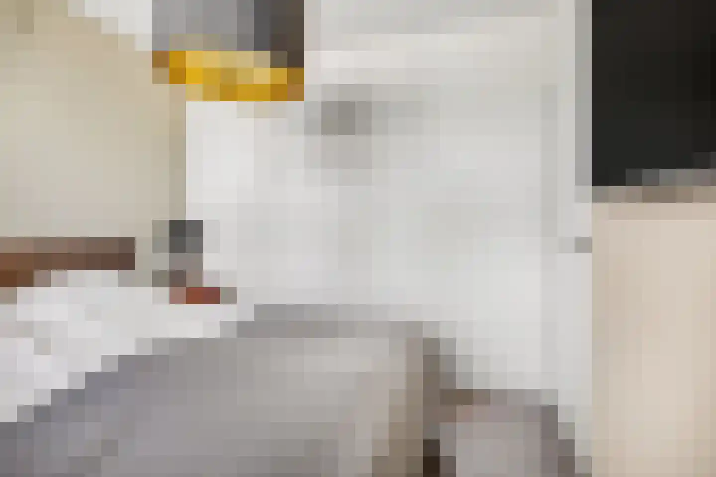 Dreef 206 Leersum thumbnail 21