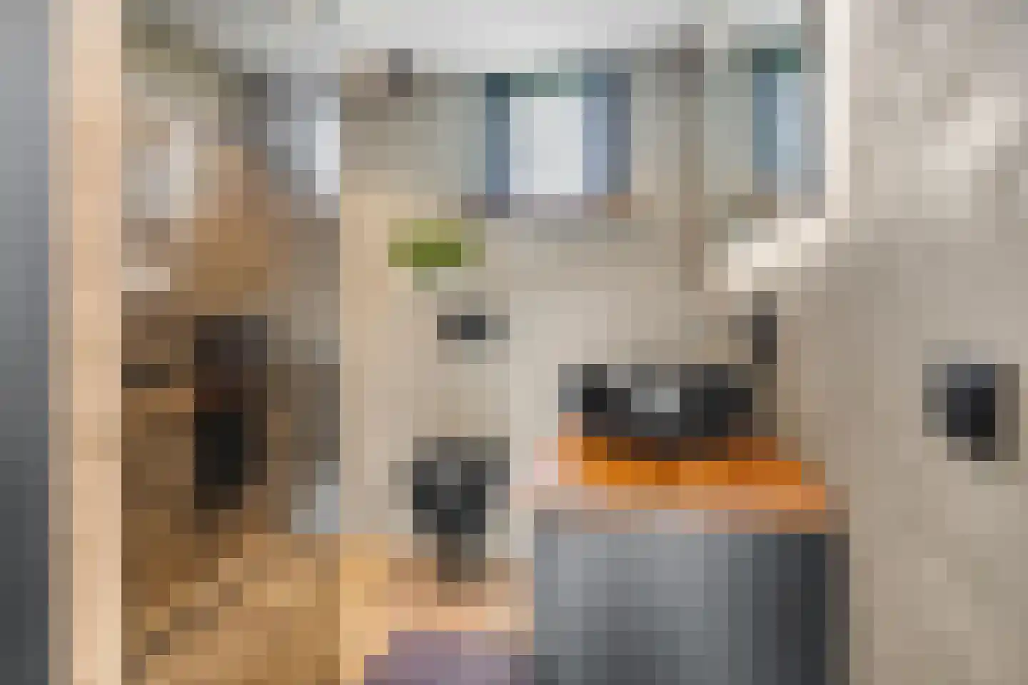 Dreef 206 Leersum thumbnail 29