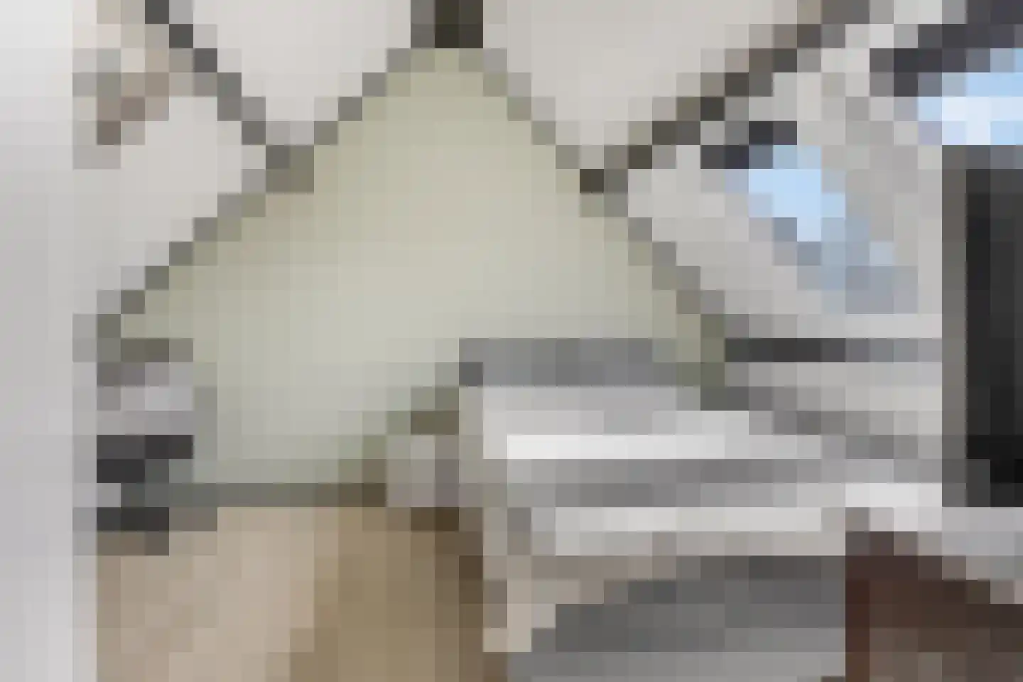 Dreef 206 Leersum thumbnail 35