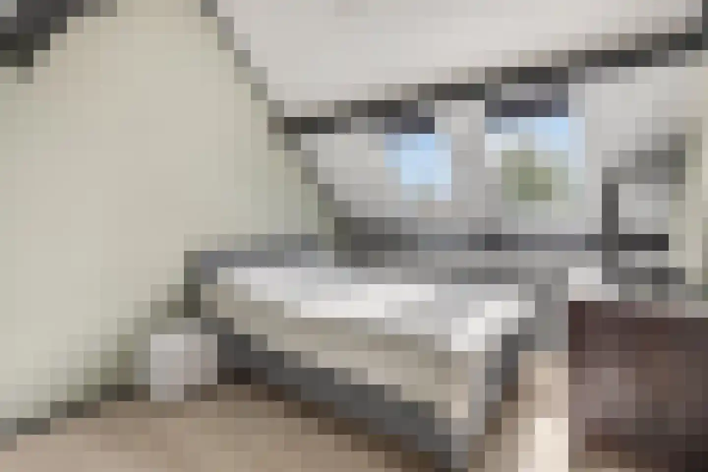 Dreef 206 Leersum thumbnail 36