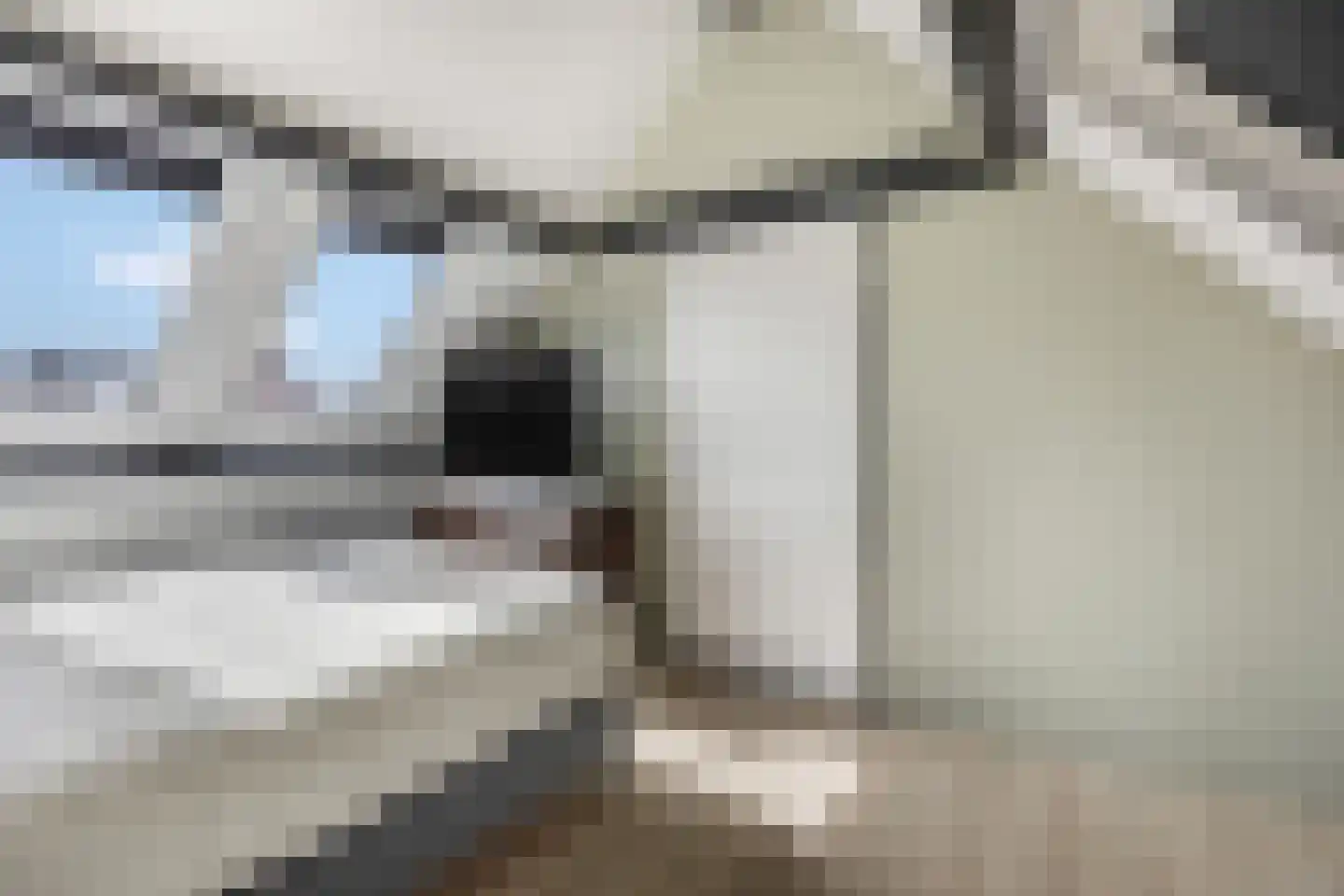 Dreef 206 Leersum thumbnail 37