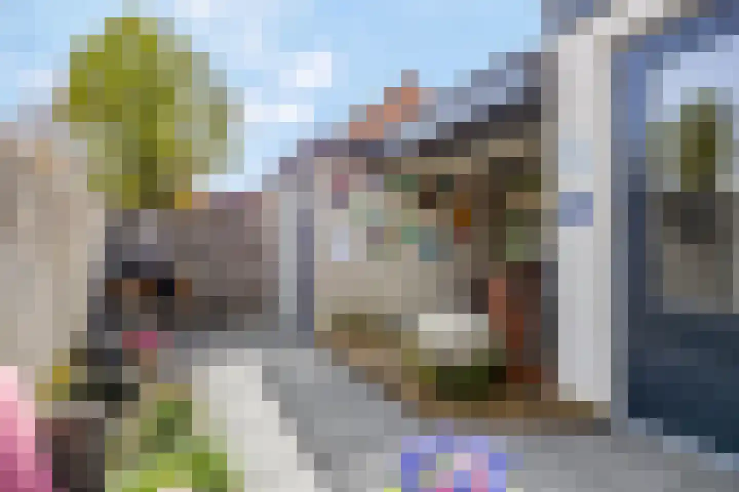 Dreef 206 Leersum thumbnail 41