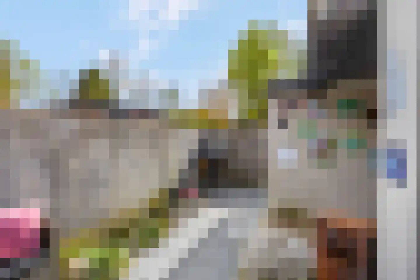 Dreef 206 Leersum thumbnail 44