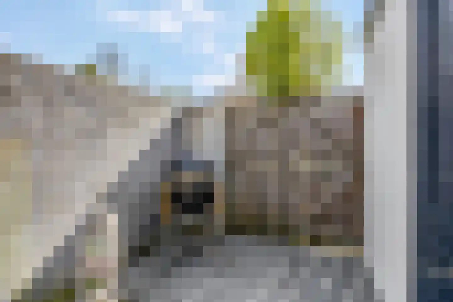Dreef 206 Leersum thumbnail 45
