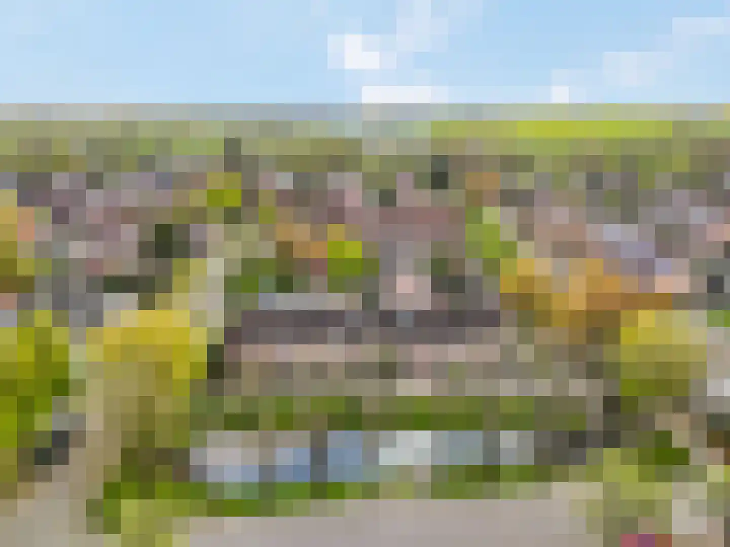 Dreef 206 Leersum thumbnail 49