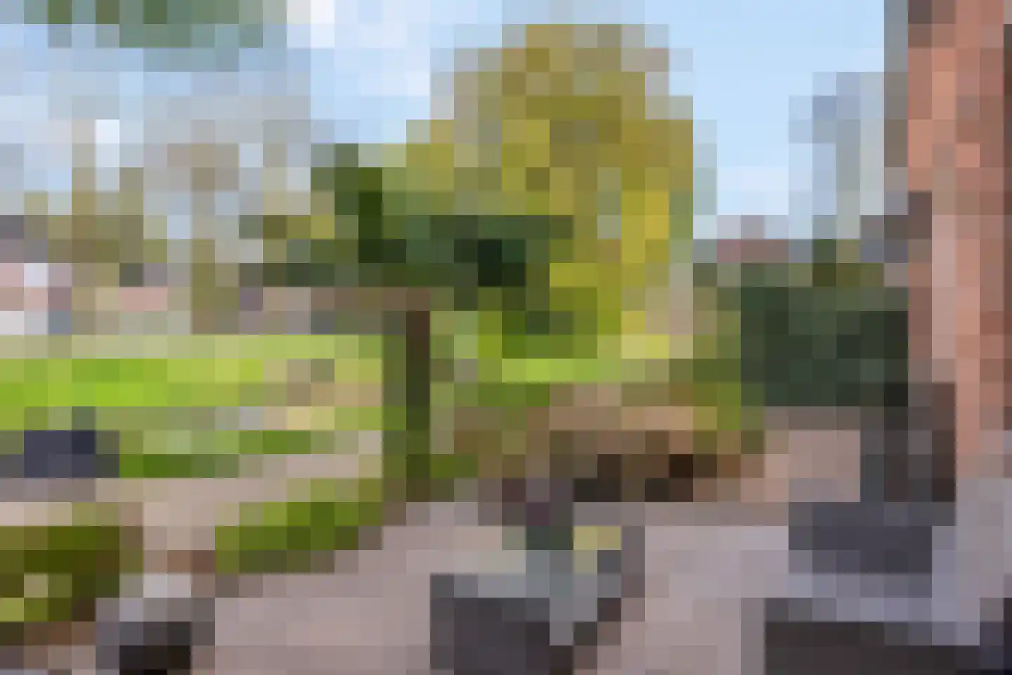 Dreef 206 Leersum thumbnail 54