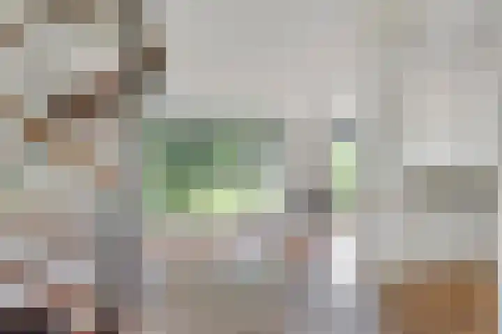 Dreef 22 Biddinghuizen thumbnail 11