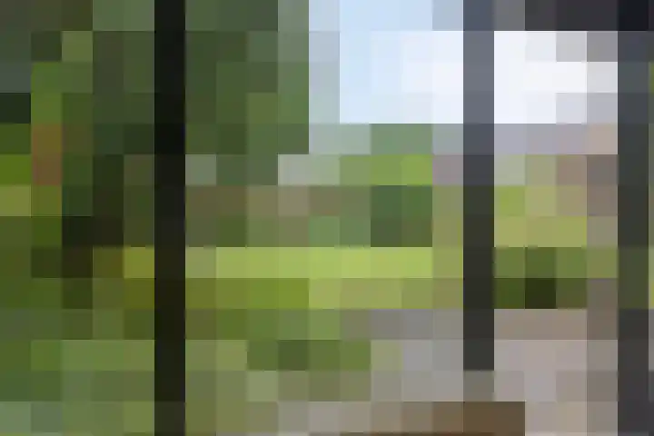 Dreef 22 Biddinghuizen thumbnail 18