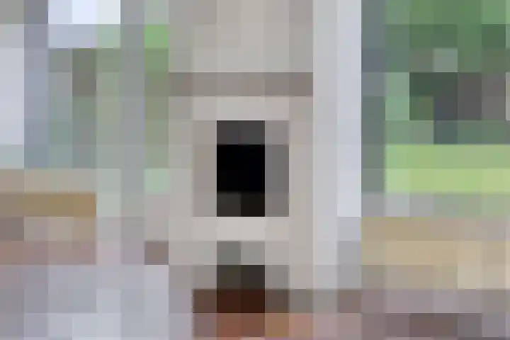 Dreef 22 Biddinghuizen thumbnail 19