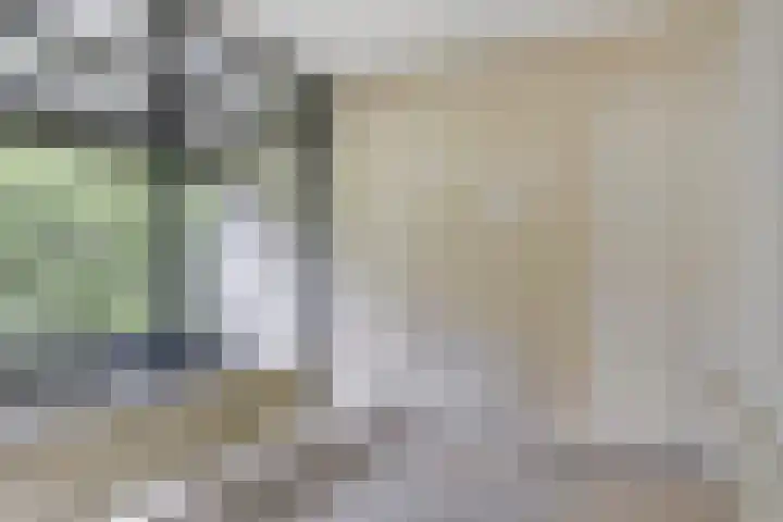 Dreef 22 Biddinghuizen thumbnail 22