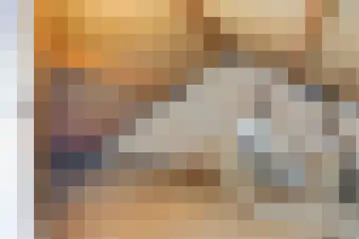 Dreef 22 Biddinghuizen thumbnail 35