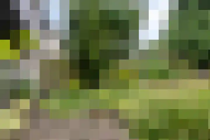Dreef 22 Biddinghuizen thumbnail 40