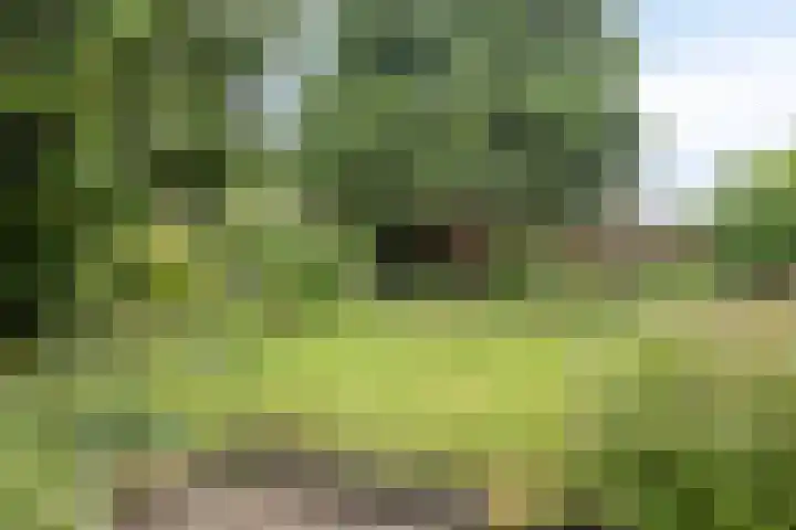 Dreef 22 Biddinghuizen thumbnail 41