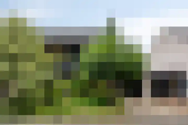 Dreef 22 Biddinghuizen thumbnail 5