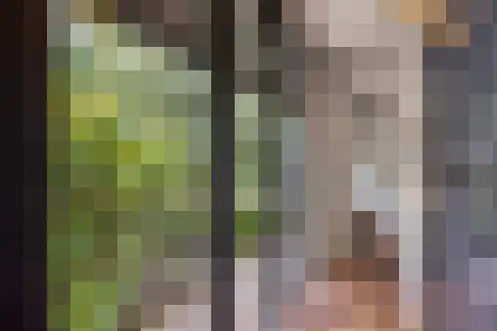 Dreef 22 Biddinghuizen thumbnail 9