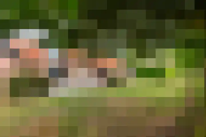Dreef 22 Est foto 3