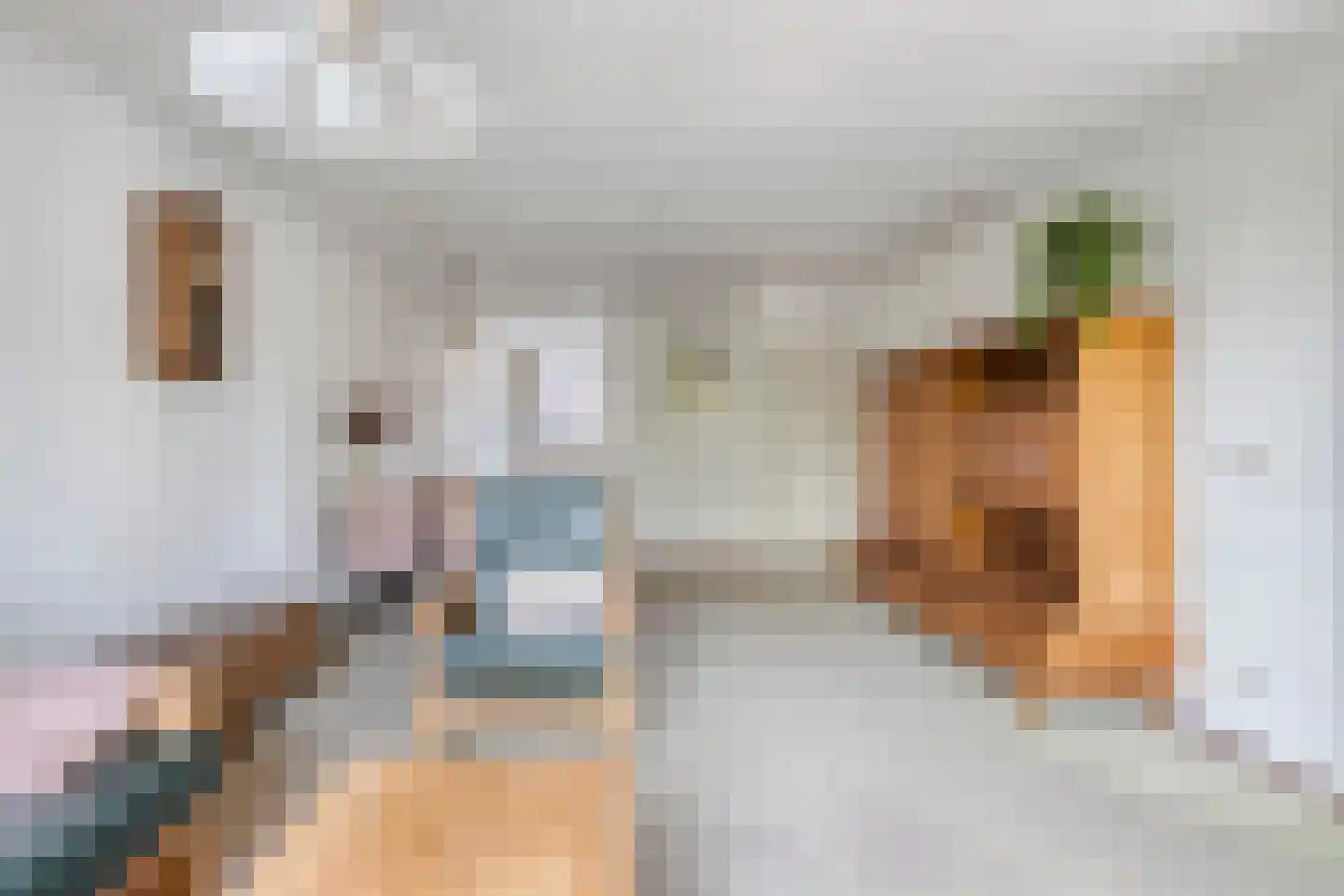 Dreef 22 Etten-Leur thumbnail 17