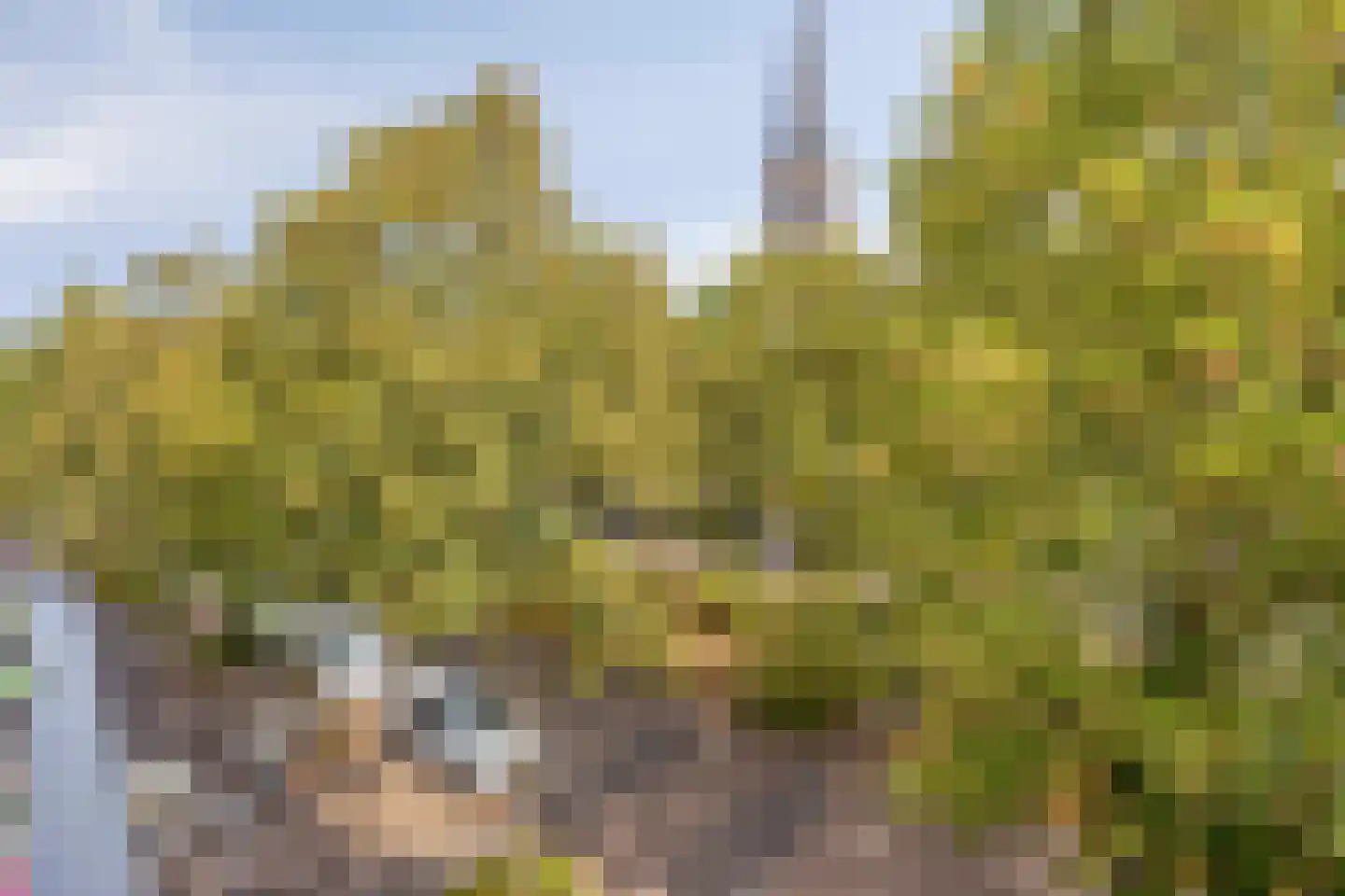 Dreef 22 Etten-Leur thumbnail 32