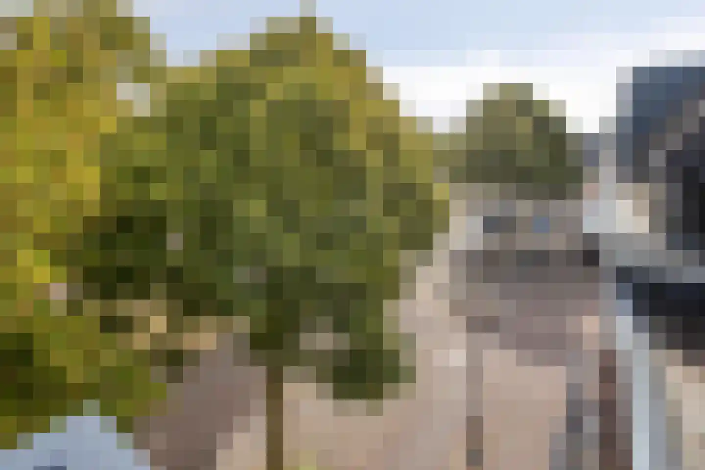 Dreef 22 Etten-Leur thumbnail 33