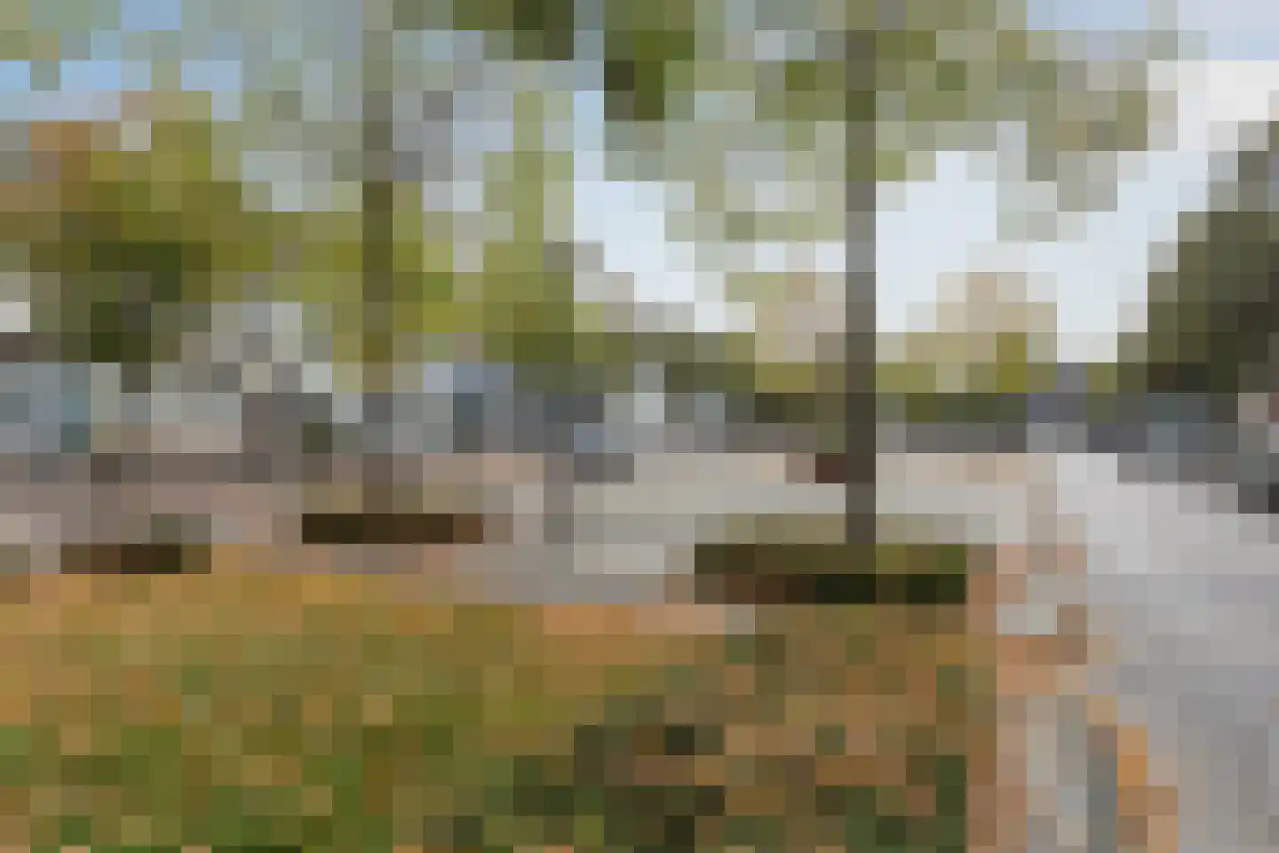 Dreef 22 Etten-Leur thumbnail 41