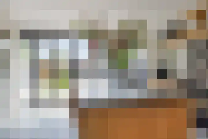 Dreef 23 Made thumbnail 14