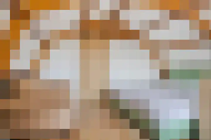 Dreef 23 Made thumbnail 19