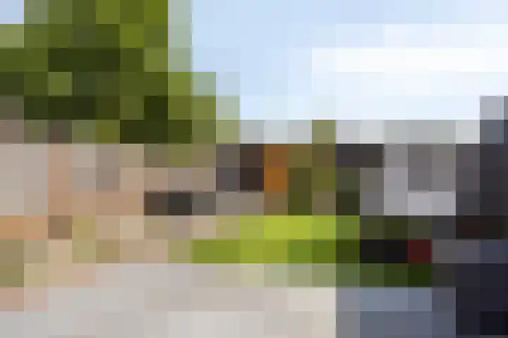 Dreef 23 Made foto 2