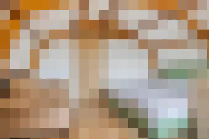Dreef 23 Made thumbnail 20