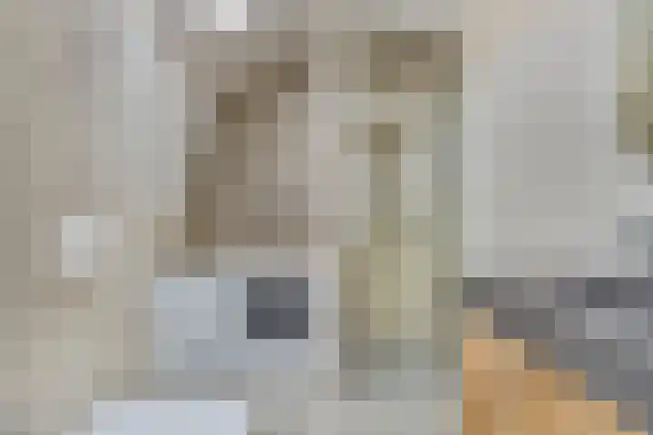 Dreef 23 Made thumbnail 22