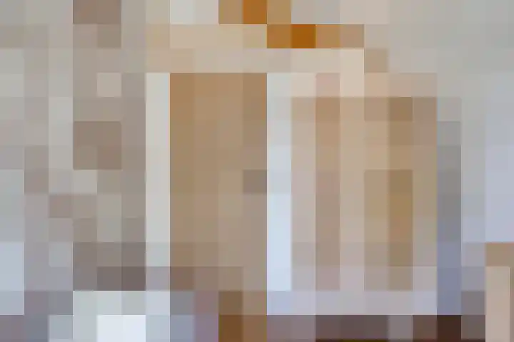 Dreef 23 Made thumbnail 27