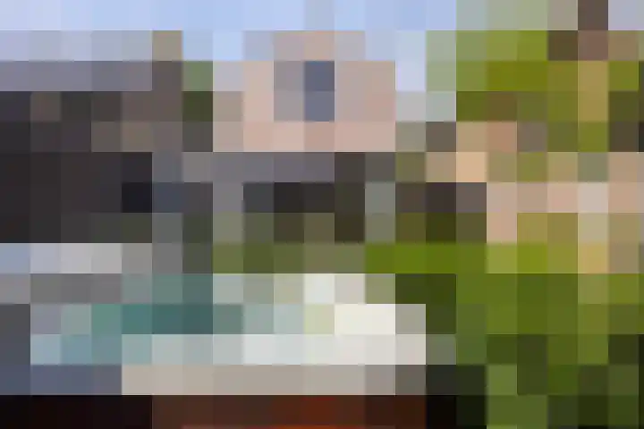 Dreef 23 Made thumbnail 31