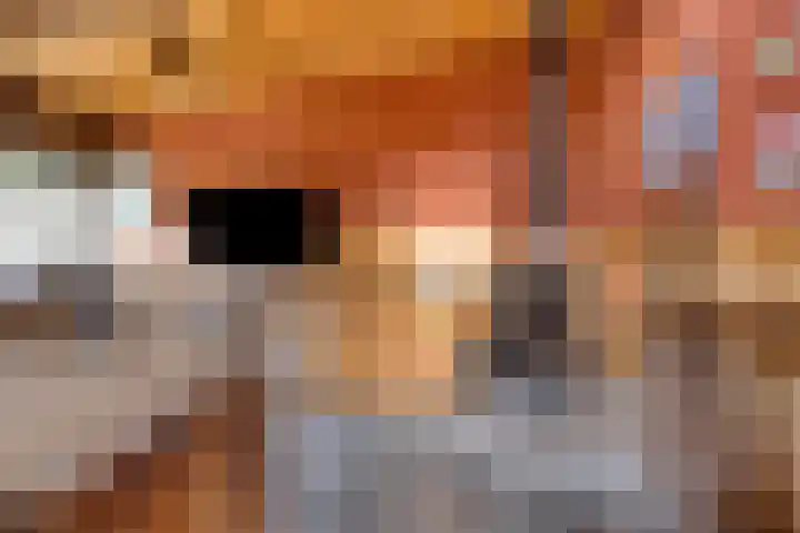 Dreef 23 Made thumbnail 35